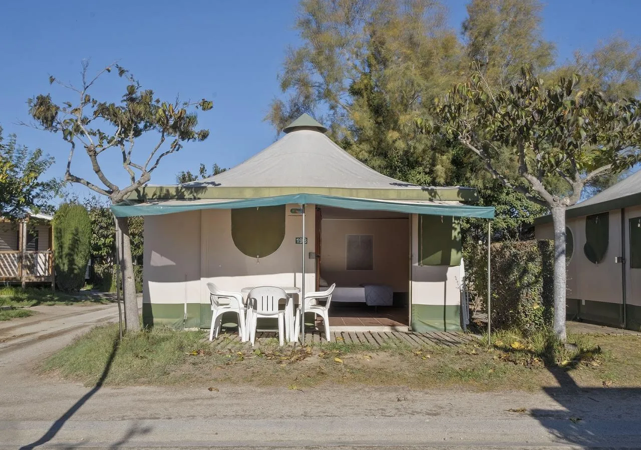 camping castell mar nature habitat-4899